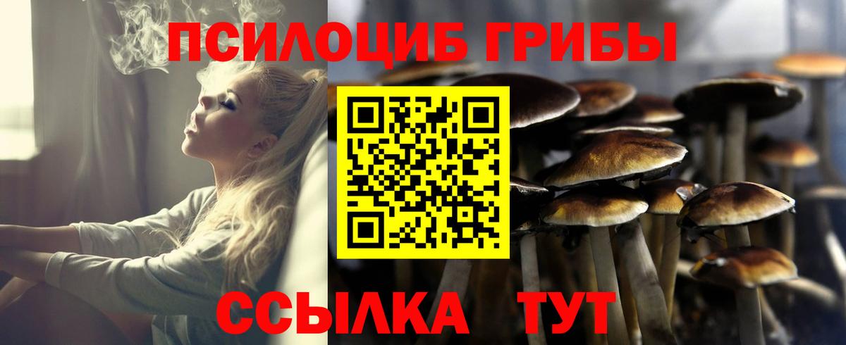 Псилоцибиновые грибы GOLDEN TEACHER Шелехов